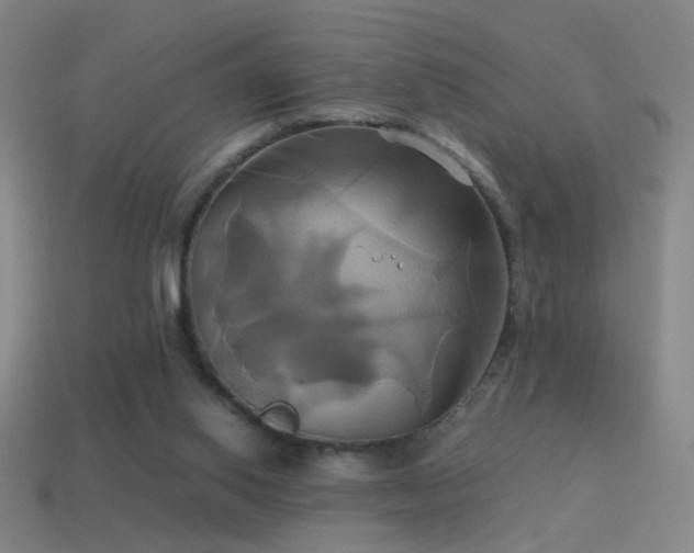 X0000114700062200910211300