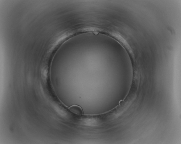 X0000114700063200910211300