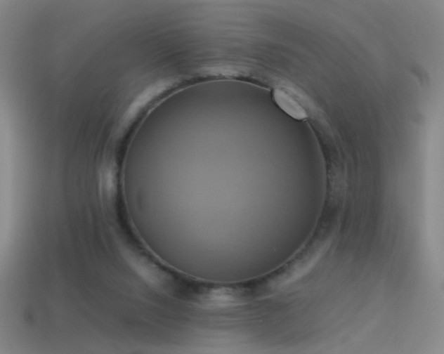 X0000114700064200910211300