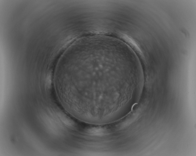 X0000114700065200910211300