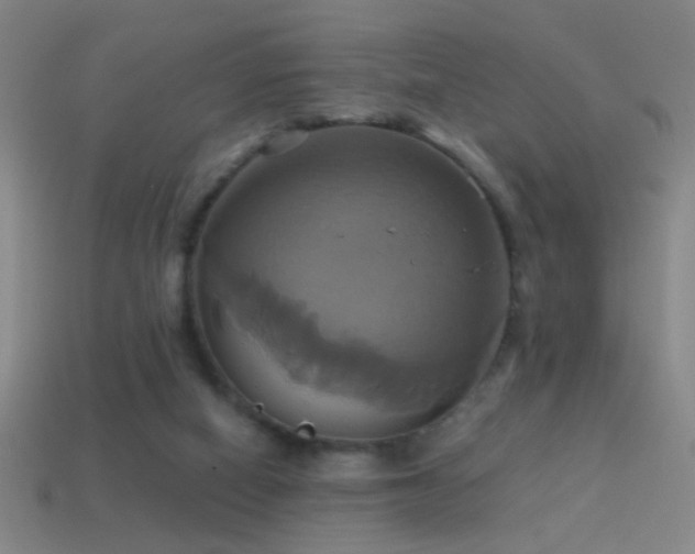 X0000114700066200910211300