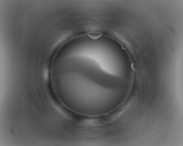 X0000114700067200910211300