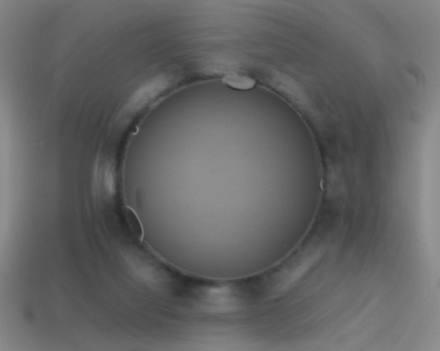 X0000114700068200910211300