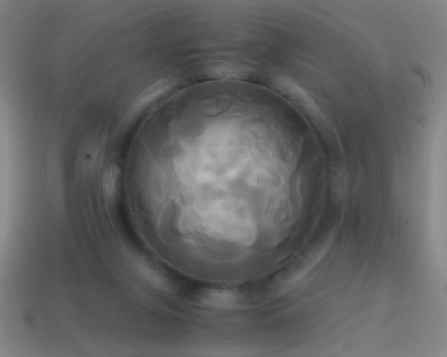 X0000114700071200910211300