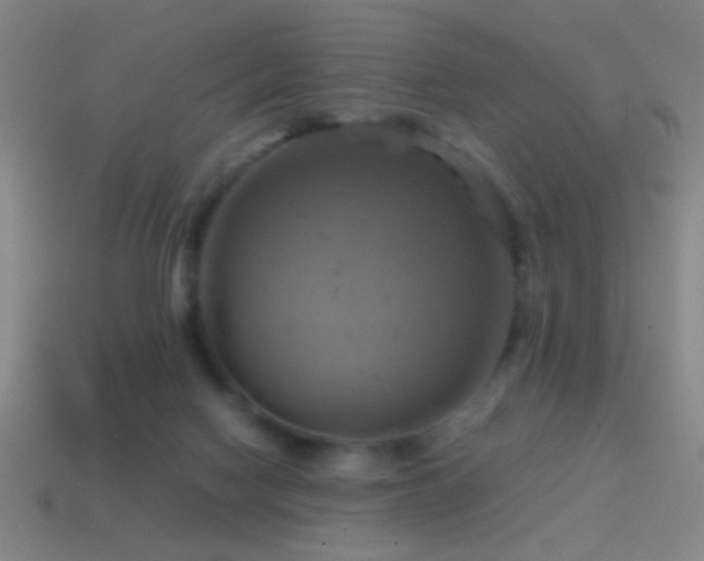 X0000114700074200910211300