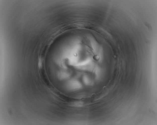 X0000114700075200910211300