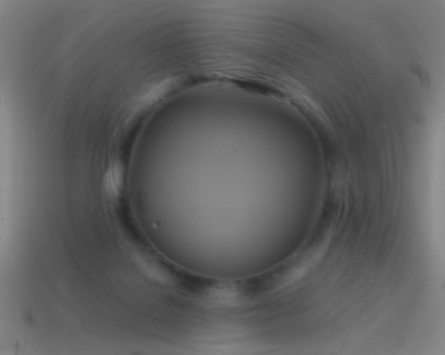 X0000114700076200910211300