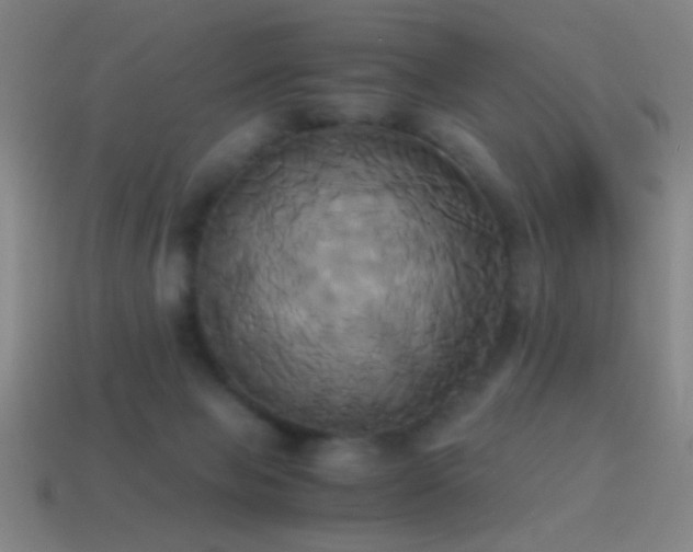 X0000114700077200910211300