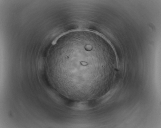 X0000114700078200910211300