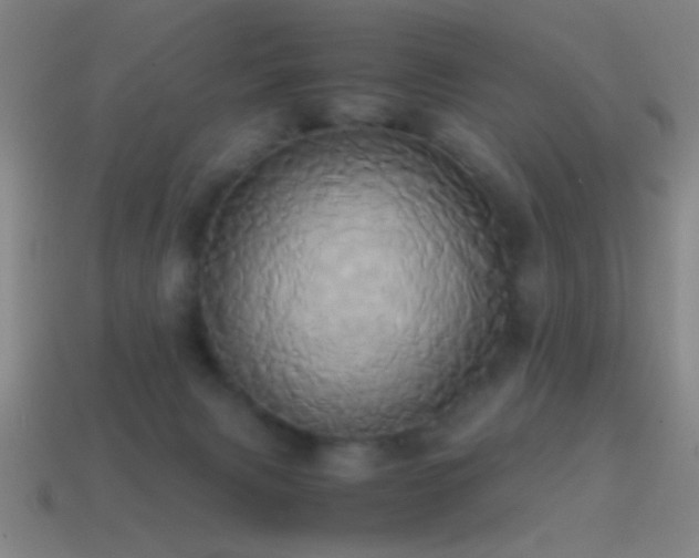 X0000114700079200910211300