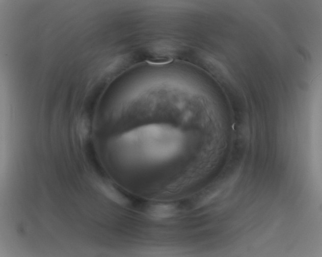 X0000114700081200910211300