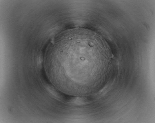 X0000114700082200910211300