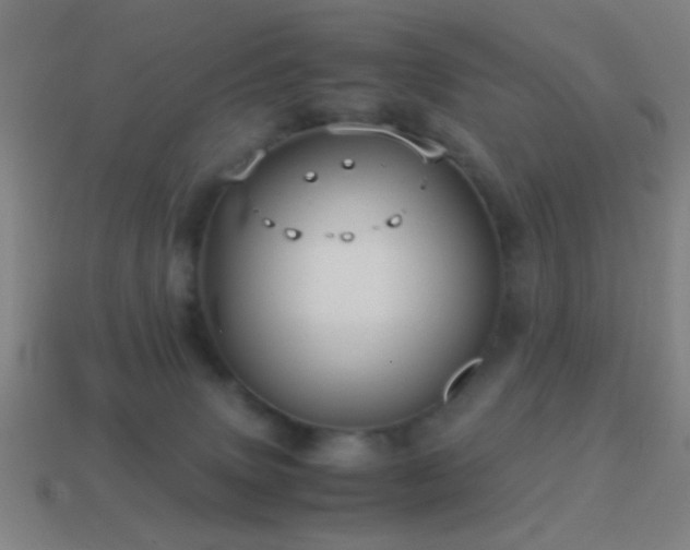 X0000114700083200910211300