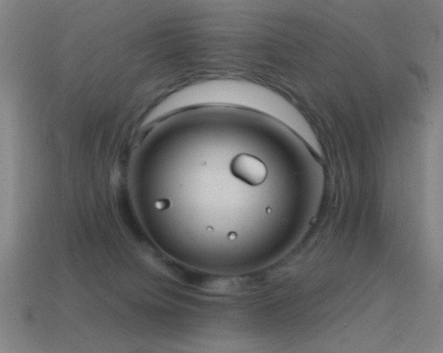 X0000114700084200910211300