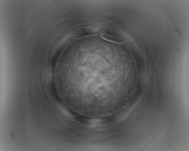 X0000114700085200910211300