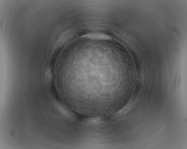 X0000114700086200910211300