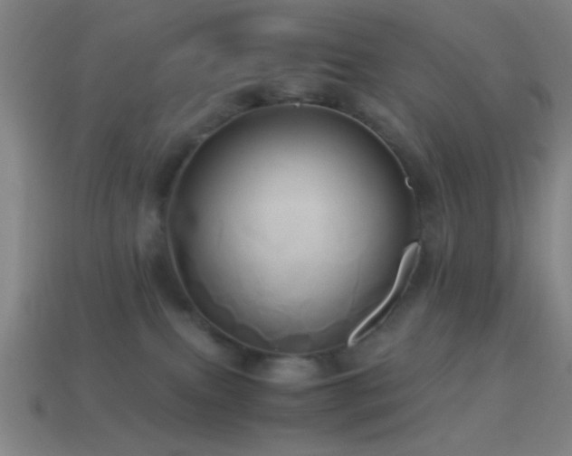 X0000114700087200910211301