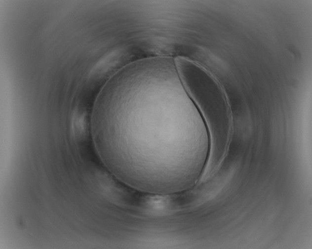 X0000114700088200910211301