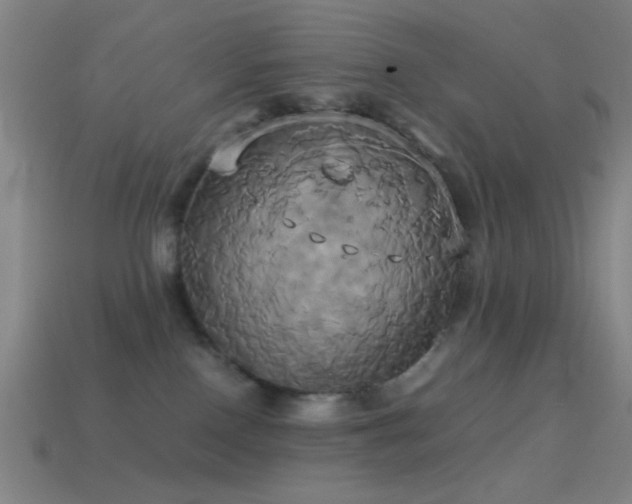 X0000114700090200910211301