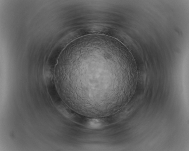 X0000114700091200910211301