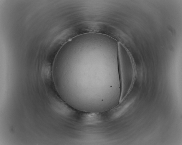 X0000114700092200910211301