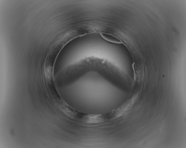 X0000114700093200910211301