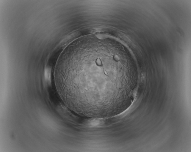 X0000114700094200910211301