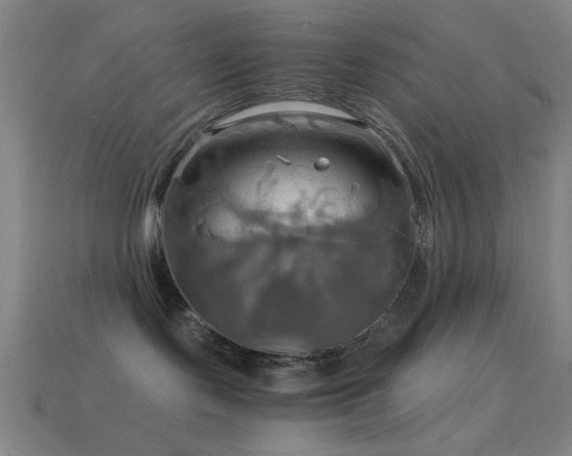 X0000114700095200910211301