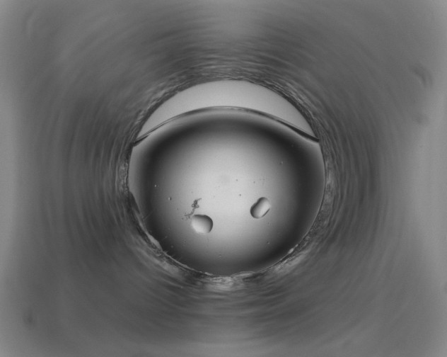 X0000114700096200910211301