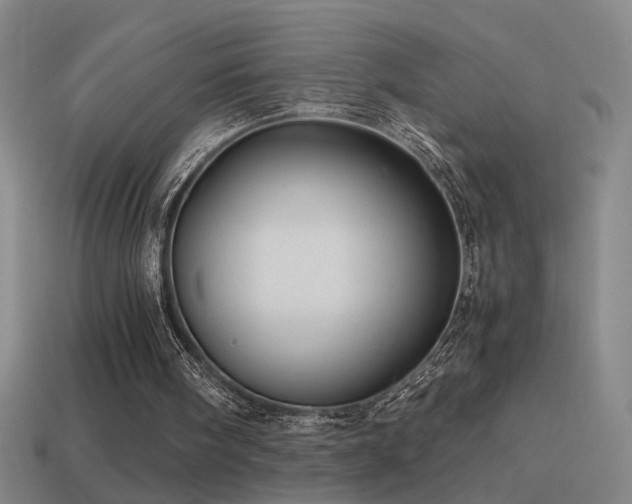 X0000114700098200910211300