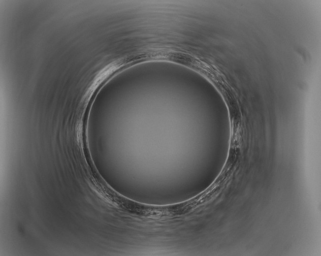 X0000114700099200910211300