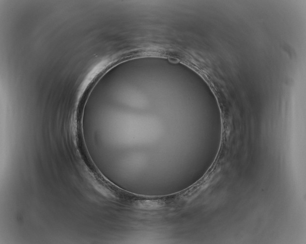 X0000114700102200910211300