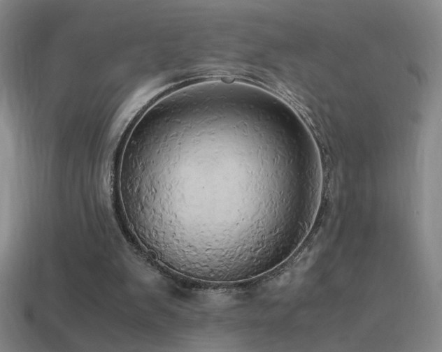 X0000114700103200910211300