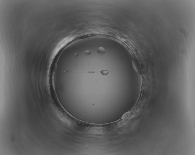 X0000114700104200910211300