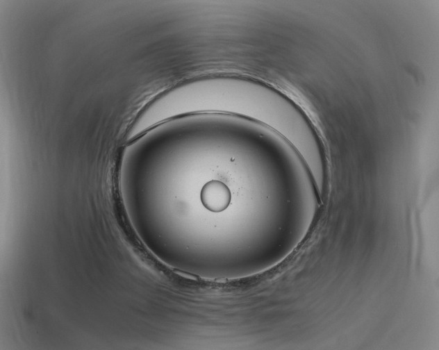 X0000114700105200910211300