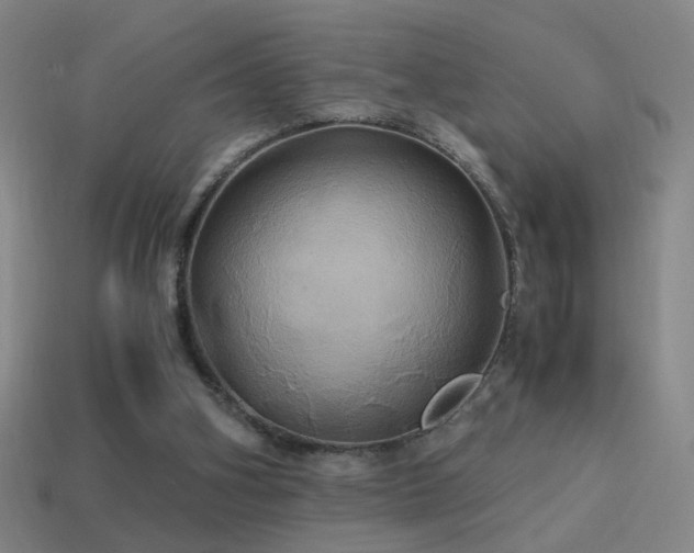 X0000114700106200910211300