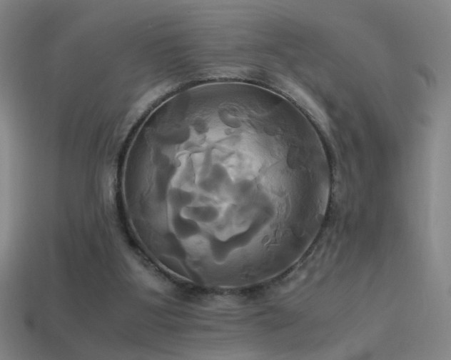 X0000114700107200910211300