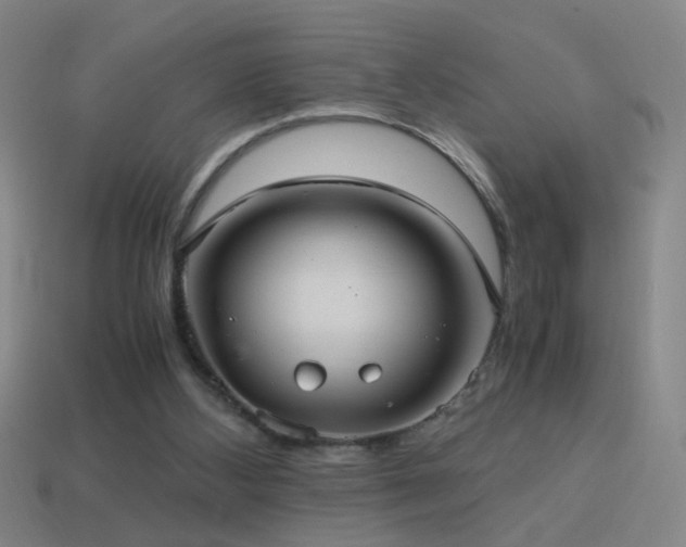 X0000114700108200910211300