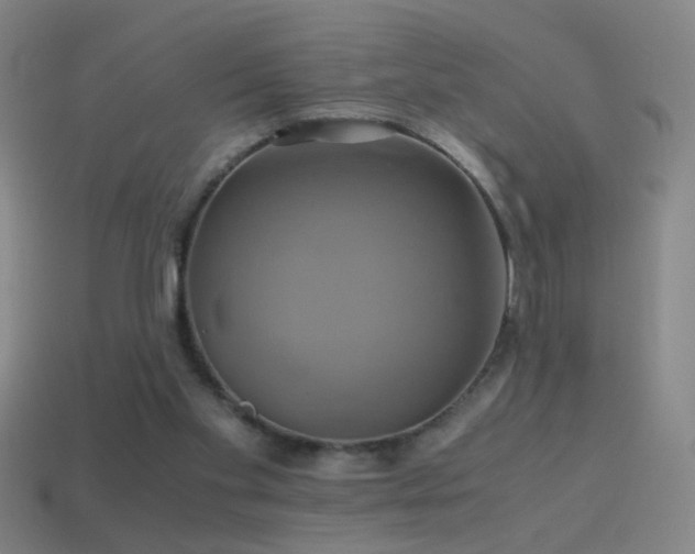 X0000114700109200910211300