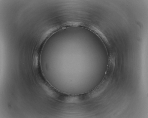 X0000114700110200910211300