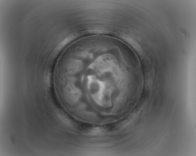 X0000114700111200910211300