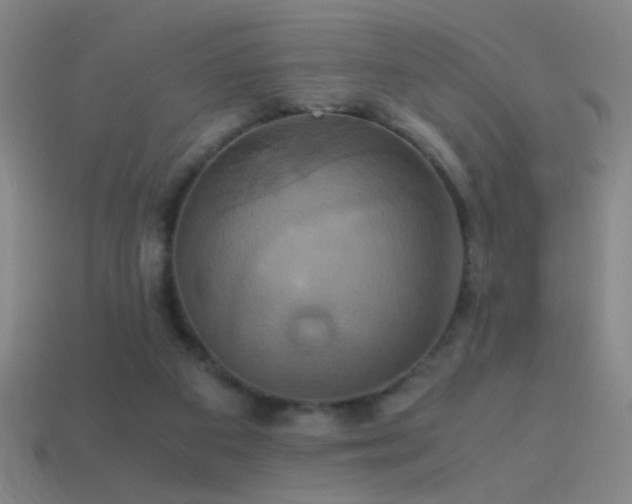 X0000114700113200910211300