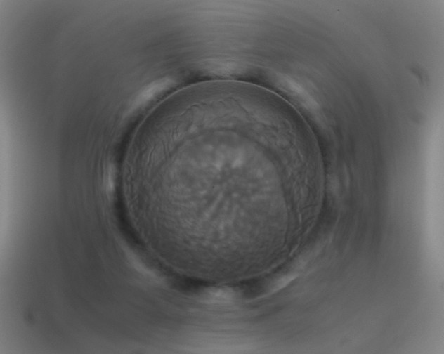 X0000114700115200910211300