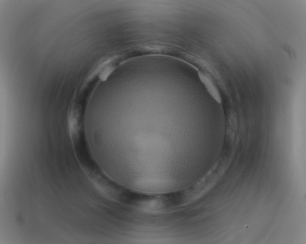 X0000114700116200910211300