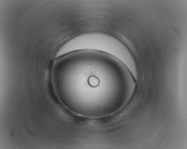 X0000114700117200910211300