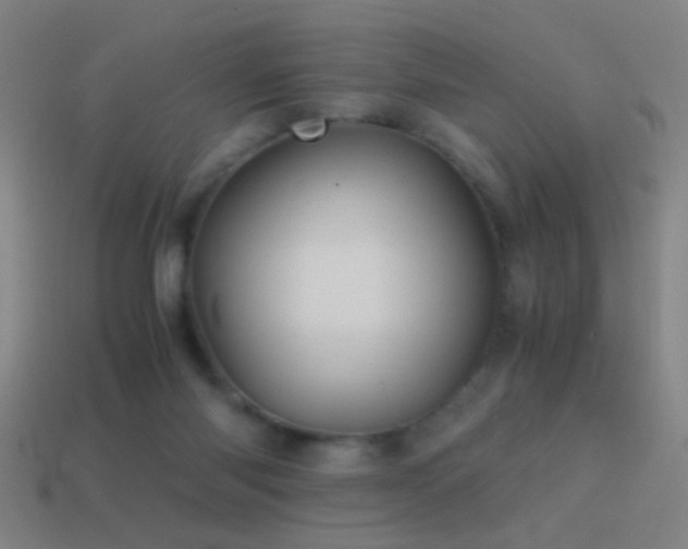 X0000114700118200910211300