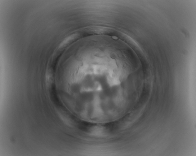 X0000114700119200910211300