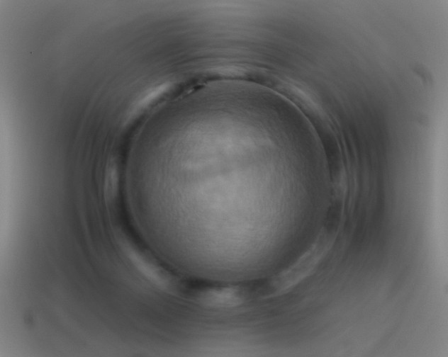 X0000114700120200910211300