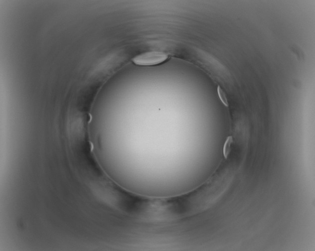 X0000114700121200910211300