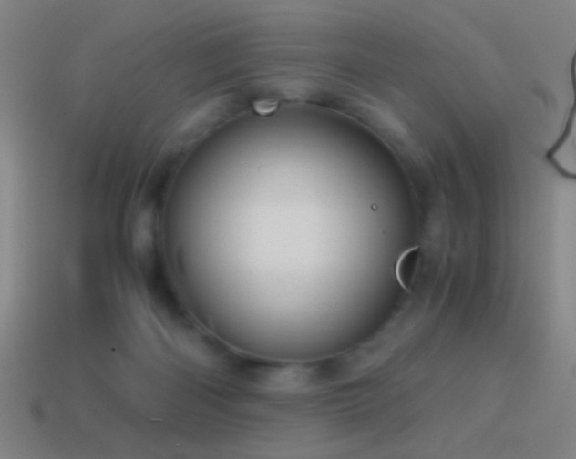 X0000114700122200910211300